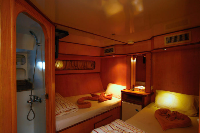 Freedom III liveaboard cabin 4
