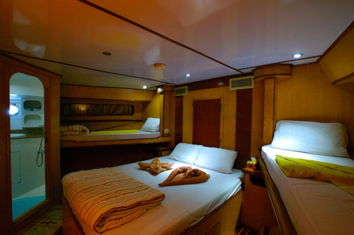Freedom III liveaboard cabin